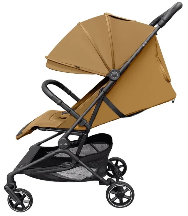 Детская прогулочная коляска Carrello Evo CRL-5533 — фото 1