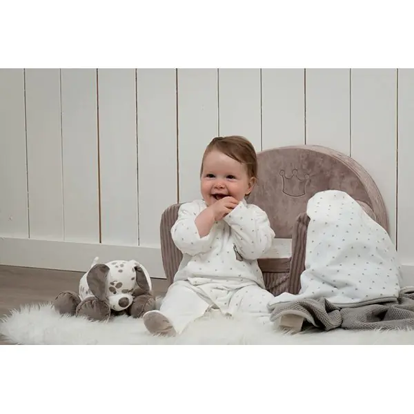 Мобиль-мини Nattou Наттоу Max, Noa & Tom Собачка 777308 фото 1