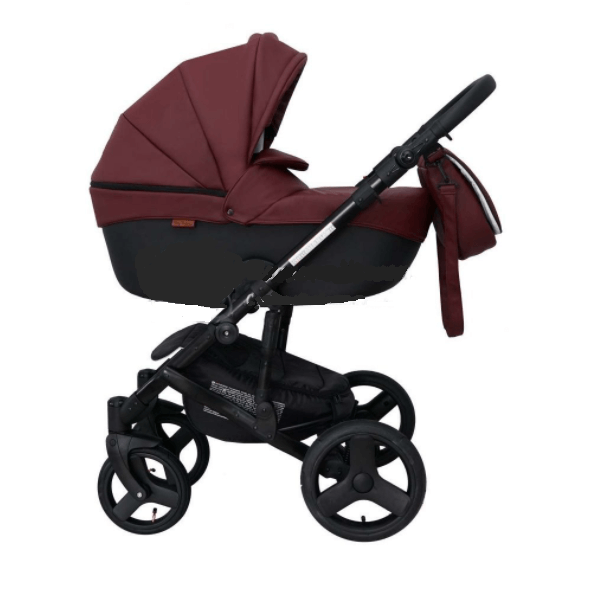 Детская коляска Ray Corsa  Ecco 2 в 1 - Фото