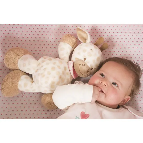 Мягкие игрушки Nattou Cri-Cris Charlotte & Rose Жираф и Слоник 655095 фото 1