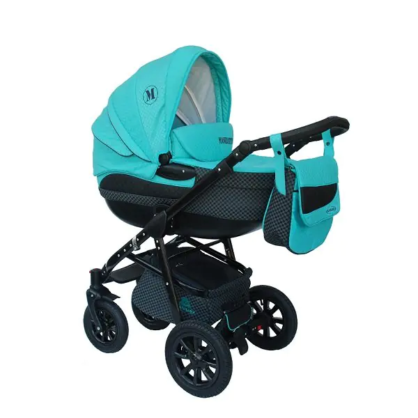 Детская коляска Aneco Maggini 2 в 1