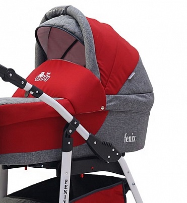 Детская коляска для двойни Teddy (BartPlast) Fenix Duo 2 в 1 - Фото