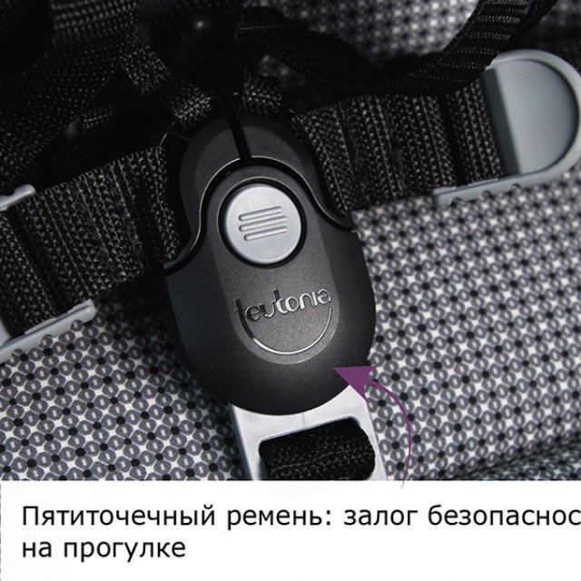Детская коляска Teutonia Mistral Primus V4 Graphite 2 в 1 WHL3 фото 31