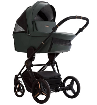 Детская коляска Bebetto Monti Pro 2 в 1