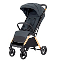 Детская прогулочная коляска Carrello Cross CRL-5523 Детская прогулочная коляска Carrello Cross CRL-5523 Eagle Grey — Фото