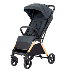 Детская прогулочная коляска Carrello Cross CRL-5523 Детская прогулочная коляска Carrello Cross CRL-5523
