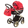 Детская коляска Adamex Chantal 3 в 1 - Фото