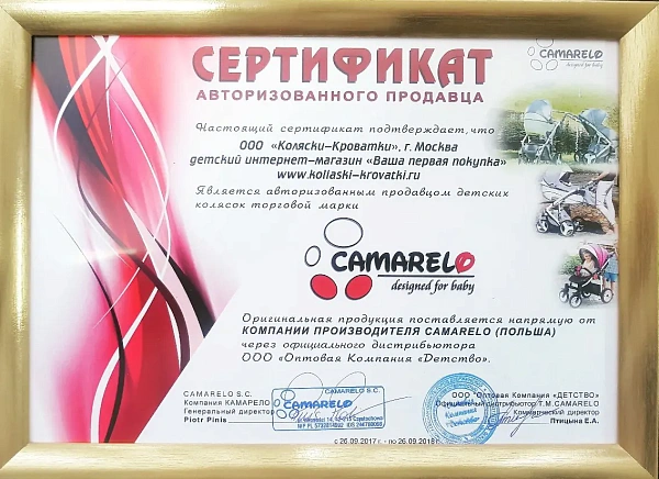 Детская коляска Camarelo Vision Design 3 в 1 фото 10