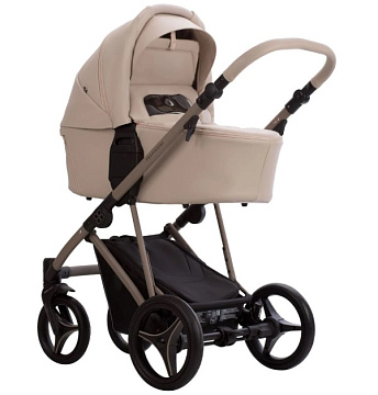 Детская коляска Bebetto Pelpasso Pro 2 в 1