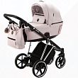 Детская коляска Adamex Belissa Special Edition 2 в 1 на серебряной раме Детская коляска Adamex Belissa Special Edition 2 в 1 на серебряной раме - Фото