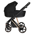 Детская коляска Roan Sol Lux 2 в 1 на золотой раме RSL/3032 Raven/Rose Gold/черная ручка — Фото