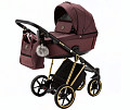 Детская коляска Adamex Belissa Special Edition 3 в 1 на золотой раме Детская коляска Adamex Belissa Special Edition 3 в 1 на золотой раме PS-574 — Фото