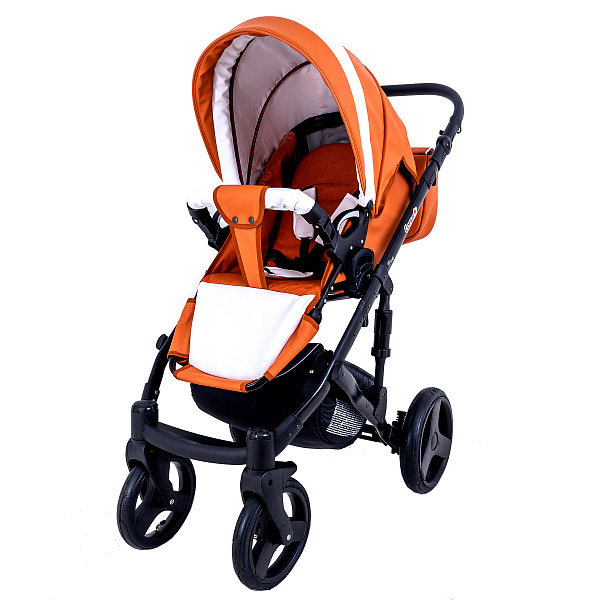 Детская коляска Ray Corsa  Ecco 2 в 1 фото 2