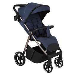 Детская прогулочная коляска Pituso Emma