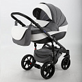 Детская коляска BeBe-Mobile Fabiola 2 в 1 BF2 — Фото