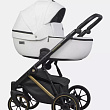 Детская коляска Riko Basic Montana Premium Gold 2 в 1 - Фото