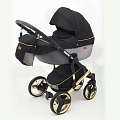 Детская коляска Ray Ultra Gold 2 в 1 Детская коляска Ray Ultra Gold 2 в 1 33 черная кожа-серебристый — Фото