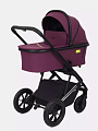 Детская коляска Rant Axiom 2 в 1 (Purple
						
					) — Фото