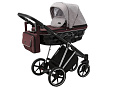Детская коляска Adamex Paolo Special Edition 3 в 1 Детская коляска Adamex Paolo Special Edition 3 в 1 P-DW509 — Фото