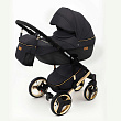 Детская коляска Ray Ultra Gold 2 в 1 Детская коляска Ray Ultra Gold 2 в 1 - Фото