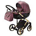 Детская коляска Adamex Chantal Special Edition 3 в 1 (С119
						
					) — Фото