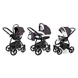 Детская коляска Esspero Newborn Lux 3 в 1, шасси Black Детская коляска Esspero Newborn Lux 3 в 1, шасси Black - Фото