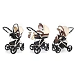 Детская коляска Esspero Newborn Lux 3 в 1, шасси Beige - Фото