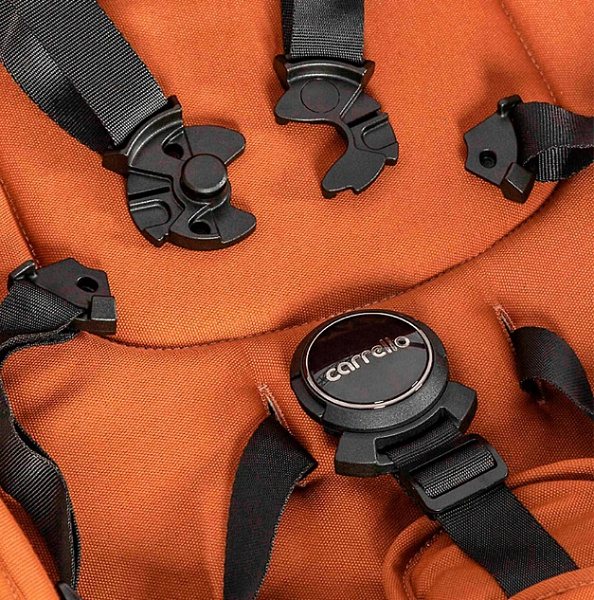 Детская коляска Carrello Vector CRL-6550 2 в 1 на черной раме фото 11