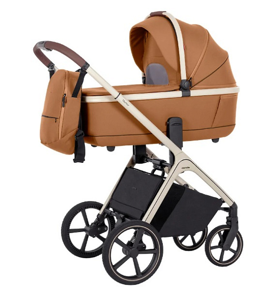 Детская коляска Carrello Vector CRL-6550 2 в 1 на черной раме фото 1