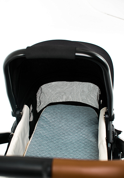 Детская коляска BabyZz Dynasty 2 в 1 фото 8