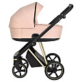 Детская коляска Roan Sol Lux 2 в 1 на золотой раме RSL/3033 Candy/Gold/черная ручка — Фото