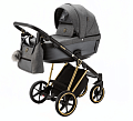 Детская коляска Adamex Belissa Special Edition 2 в 1 на золотой раме Детская коляска Adamex Belissa Special Edition 2 в 1 на золотой раме PS-562 — Фото