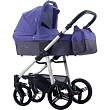 Детская коляска Bebetto Nico Plus 2 в 1 цвет рамы Black - Фото