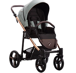 Детская прогулочная коляска Bebetto Nico Estilo Pro