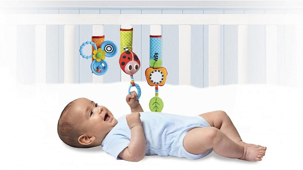 490 Детская игрушка Tiny love Летняя полянка на липучке фото 1