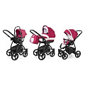 Детская коляска Esspero Newborn Lux 3 в 1, шасси Black Детская коляска Esspero Newborn Lux 3 в 1, шасси Black Borduex — Фото
