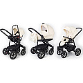 Детская коляска Esspero Discovery 3 в 1, шасси Black Детская коляска Esspero Discovery 3 в 1, шасси Black Cream — Фото