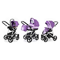 Детская коляска Esspero Newborn Lux 3 в 1, шасси Grey Детская коляска Esspero Newborn Lux 3 в 1, шасси Grey Iris — Фото