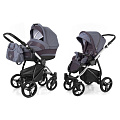 Детская коляска Esspero Newborn Lux 2 в 1, шасси Chrome Dark Grey — Фото